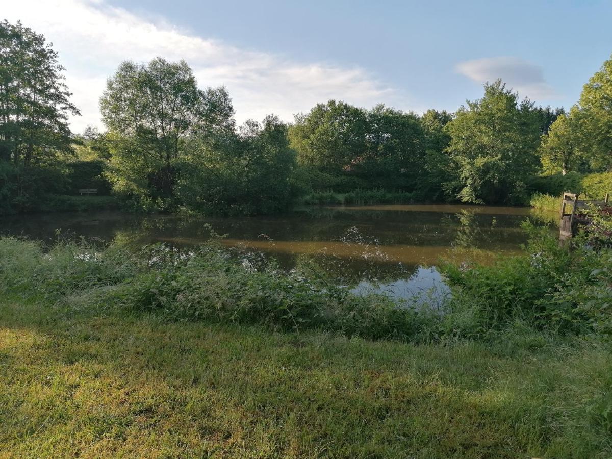 Le Domaine De Shania Provenchères-sur-Fave Dış mekan fotoğraf