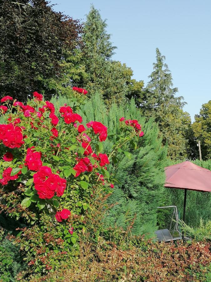 Le Domaine De Shania Provenchères-sur-Fave Dış mekan fotoğraf
